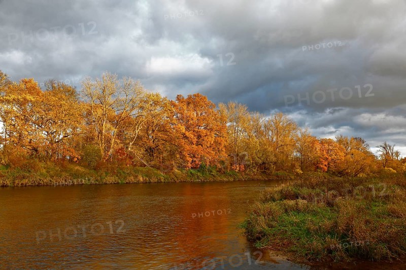 Autumn foliage colouring on the banks of the Mulde river near Dessau, Autumn atmosphere in the biosphere reserve, Middle Elbe Biosphere Reserve, Dessau-Roßlau, Saxony-Anhalt, Germany, Europe