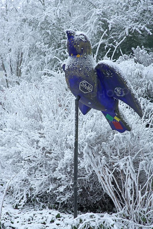 Blue Ulm sparrow with hoarfrost, ice and snow in winter, iced, sculpture, landmark, bird figure, sculpture trail, university, Eselsberg, Ulm, Baden-Württemberg, Germany, Europe
