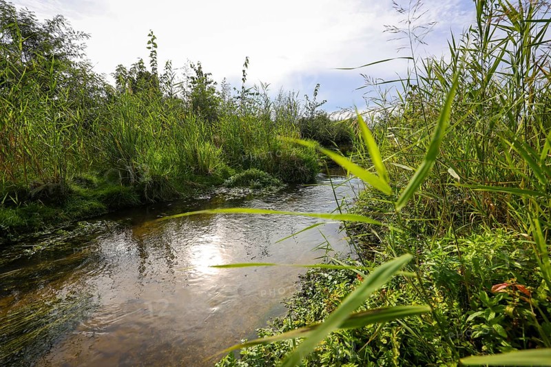 Bottrop-Gladbeck, North Rhine-Westphalia, Germany, Renaturalised Boye, the tributary of the Emscher, was transformed into a near-natural watercourse, flood protection and biodiversity through newly designed floodplains. Following the construction of a parallel sewer, the Boye is now free of wastewater, is part of the Emscher river system and thus part of the Emscher conversion, was previously an open, above-ground wastewater sewer, combined sewer with surface water and wastewater, Europe