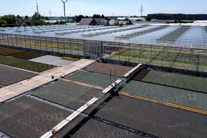 Horticultural business, irrigation with a sprinkler system, mobile on wheels in the open air, greenhouse, various types of potted plants grow here to be sold in flower shops, supermarkets, DIY stores, garden centres, North Rhine-Westphalia, Germany, Europe