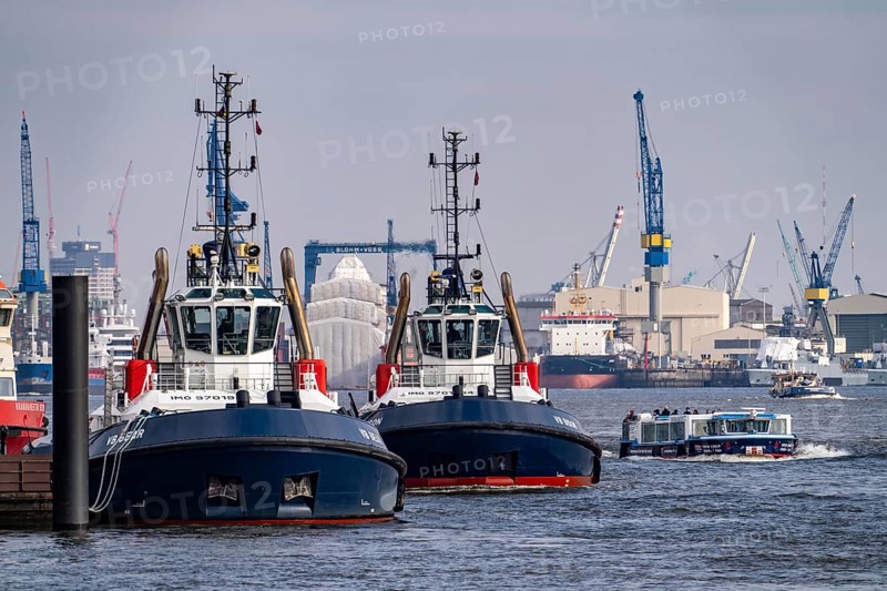 Harbour tug VB Bison, Bear on the Elbe, Hamburg, Germany, Europe
