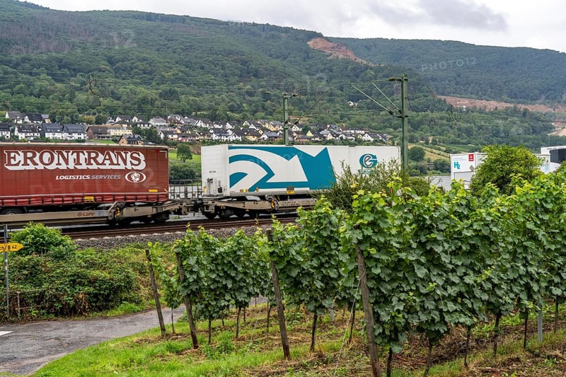 Upper Middle Rhine Valley, railway line on the right bank of the Rhine, goods train line, up to 400 freight trains run here within 24 hours, on both sides, through the Rhine Valley, directly through villages and close to buildings, vineyard, near the village of Lorch, Hesse, Germany, Europe
