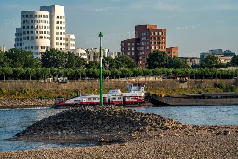 Rhine near Düsseldorf, extremely low water, Rhine level at 81 cm, falling, after a long drought the left bank of the Rhine is dry, near Düsseldorf Oberkassel, cargo ship with reduced cargo, Gehry building in the Media Harbour, Germany, Europe