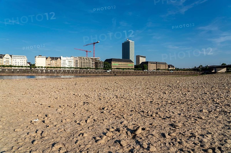 Rhine near Düsseldorf, extremely low water, Rhine level at 81 cm, falling, after a long drought the left bank of the Rhine is dry, near Düsseldorf Oberkassel, North Rhine-Westphalia, Germany, Europe