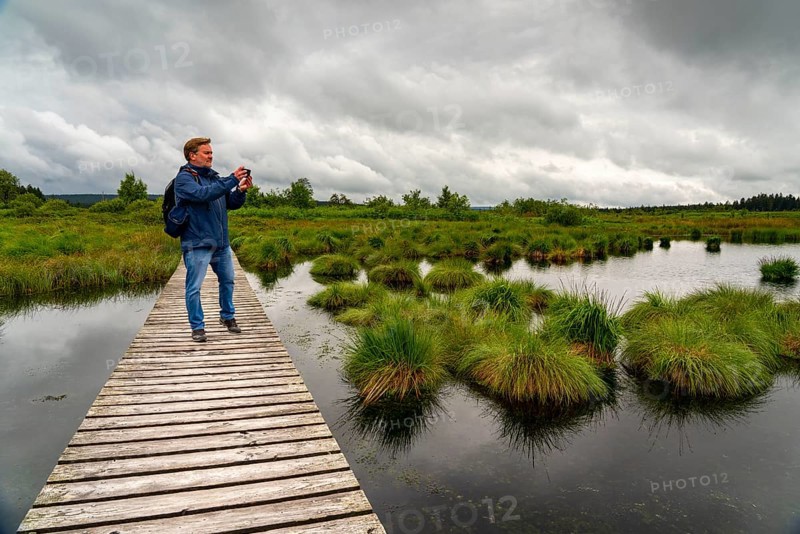 The High Fens, Brackvenn, raised bog, wooden plank hiking trail, in Wallonia, Belgium, on the border with Germany, Europe