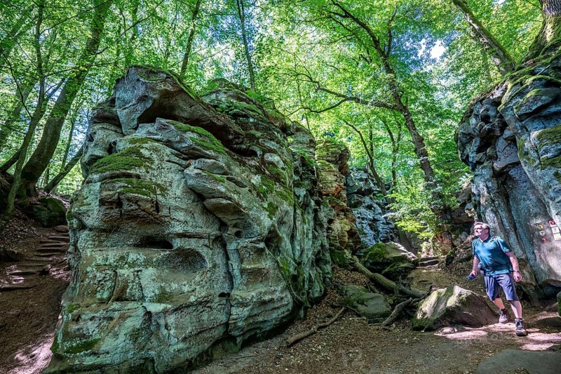 The Devil's Gorge, narrow, accessible gorge of sandstone rocks, with steep rocky gorges, near Irrel, Southern Eifel nature park Park, Rhineland-Palatinate, Germany, Europe