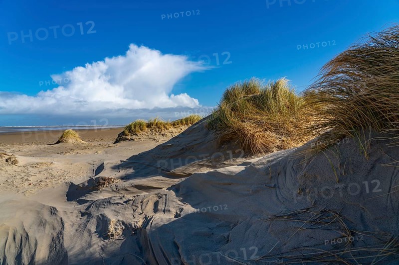 Dune landscape, sand dunes, dune grass in the west of Borkum, island, East Frisia, winter, season, autumn, Lower Saxony, Germany, Europe