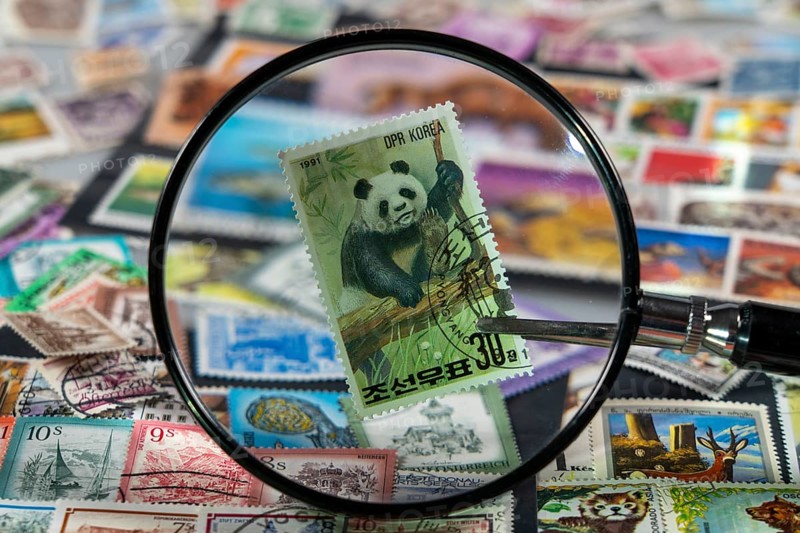 Stamp collection, collecting, postage stamps, postage stamps from different countries, magnifying glass, stamp with panda bear from North Korea