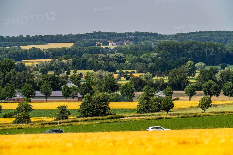 Bundesstraße 1, Werler Straße, fields, forest and grain fields east of Unna, near the village of Hemmerde, North Rhine-Westphalia, Germany, Europe