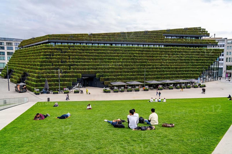 Green façade, consisting of over 30, 000 hornbeams forming a hedge a good 8 kilometres long on the roof and façade of the Kö-Bogen-2 building, largest green façade in Europe, Düsseldorf North Rhine-Westphalia, Germany, Europe