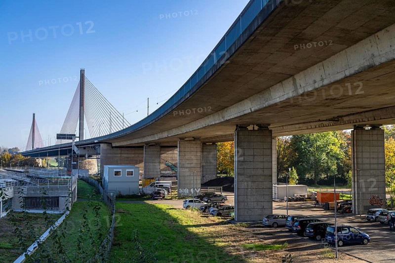 Friedrich Ebert Bridge over the Rhine near Bonn, also known as the North Bridge, motorway bridge on the A565, cable-stayed bridge, foreland bridges, North Rhine-Westphalia, Germany, Europe