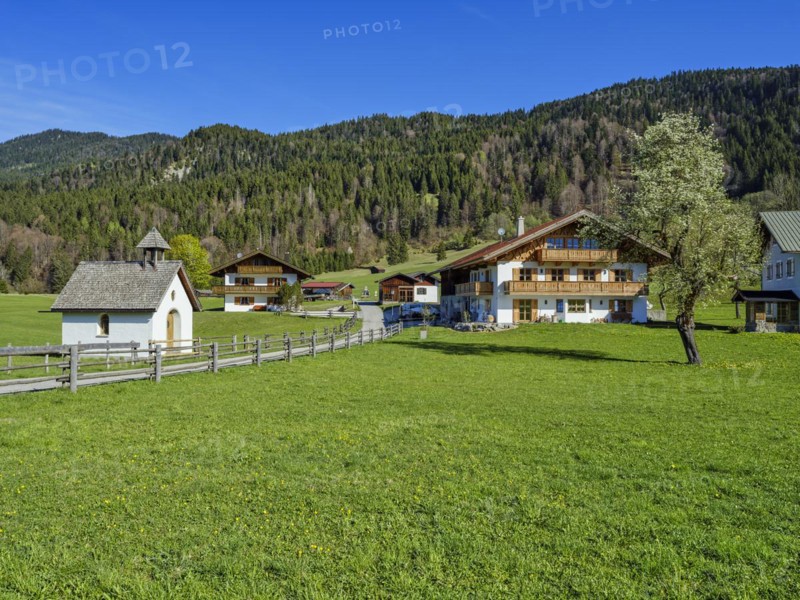 Chapel and farmhouse with blossom tree, Geroldsee, Krün near Mittenwald, Werdenfelser Land, Upper Bavaria, Bavaria, Germany, Europe