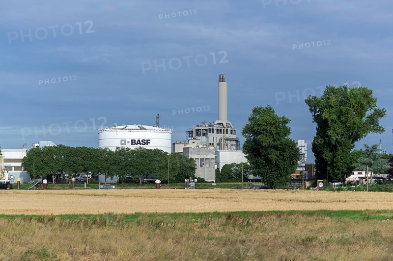 BASF, Lugwigshafen am Rhein, industrial area, Felder, Mannheim, Baden-Württemberg, Germany, Europe