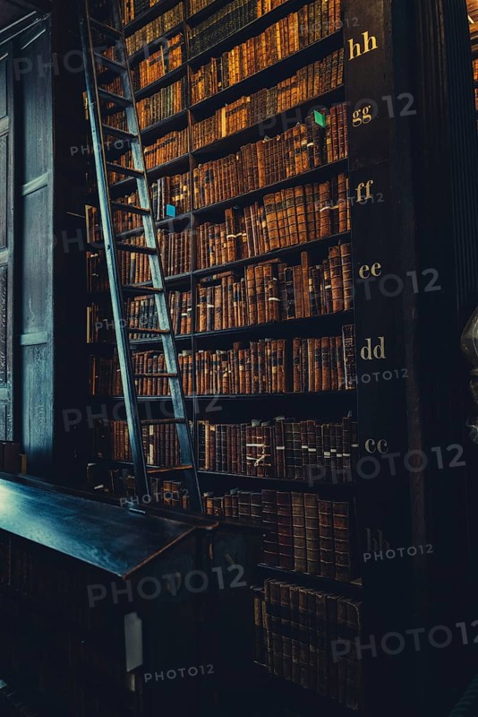 Library of Trinity College, Dublin