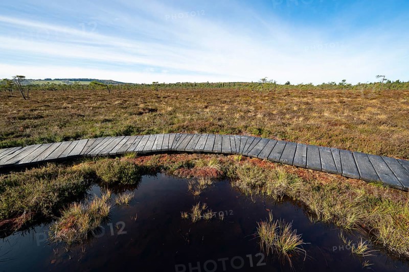 Plank path through the Black Moor, blue sky, near Fladungen, Bavarian Rhön Biosphere Reserve, Bavaria