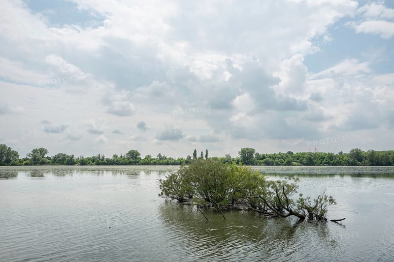 Parco del Mincio, Mantua, Italy, Europe
