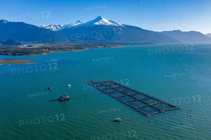 Aerial view of salmon farm in the Reloncavi fjord southeast of Puerto Montt, Chile, South America