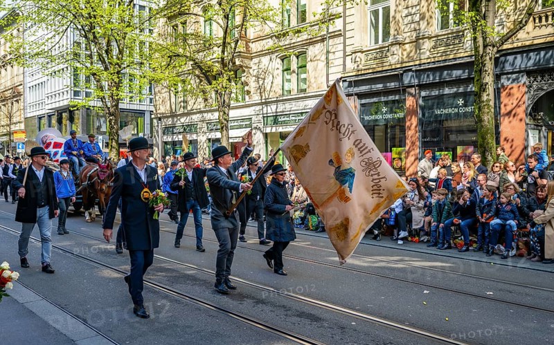Parade of historically costumed guildsmen, guest canton Schwyz, Sechseläuten or Sächsilüüte, Zurich Spring Festival, Zurich, Switzerland, Europe