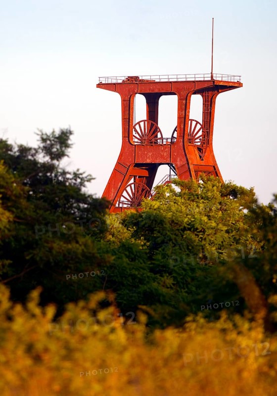Pluto spoil tip with vegetation and the double trestle above shaft 3 of Pluto colliery, Herne, Ruhr area, North Rhine-Westphalia, Germany, Europe