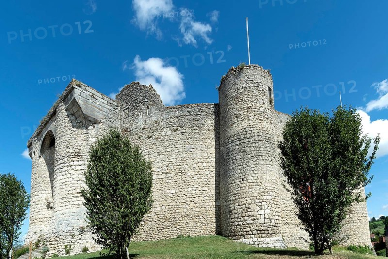 Billy. Fortified castle, showcasing medieval architecture from the 13th century in Allier department, Auvergne-Rhône-Alpes, France, Europe