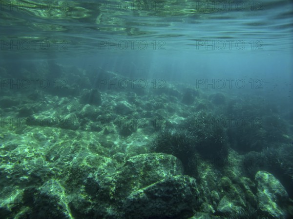 Calm underwater landscape with rocks and seaweed in deep sea, Lastovo, Neretva, Croatia, Europe