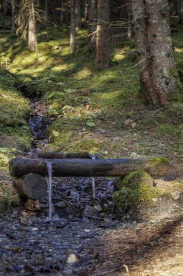 A forest path with a small fountain, illuminated by the sun's rays, Neukirchen am Großvenediger, Salzburg, Austria, Europe
