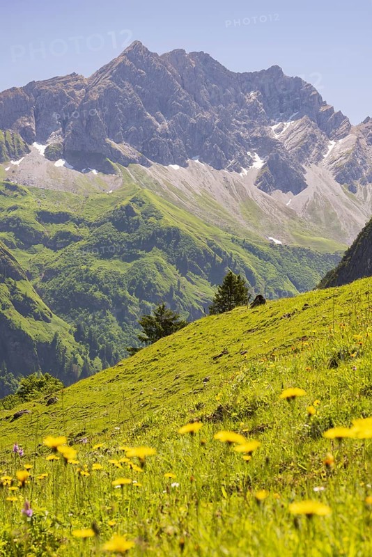 Großer Wilder, 2379m, Hochvogelgruppe and Rosszahngruppe, Allgäu Alps, Allgäu, Bavaria, Germany, Europe