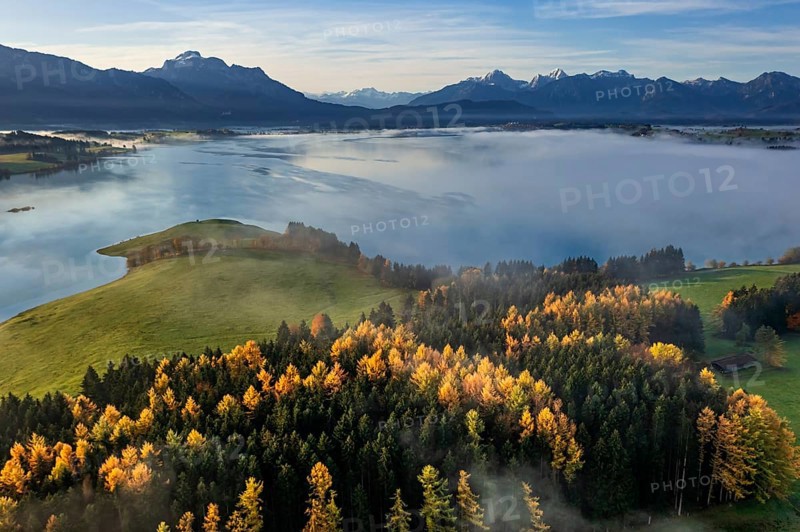 Aerial view of a lake in front of mountains in the morning light, fog, autumn, Forggensee, view of Säuling and Ammergebirge, Alpine foothills, Upper Bavaria, Bavaria, Germany, Europe