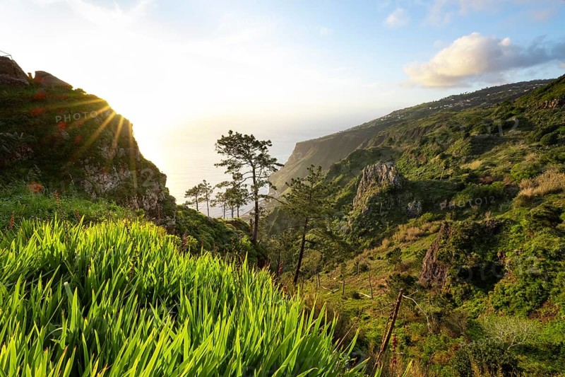 Evening mood, green coastal landscape on a steep cliff, sea and coast, viewpoint Miradouro da Raposeira, Paul do Mar, Madeira, Portugal, Europe