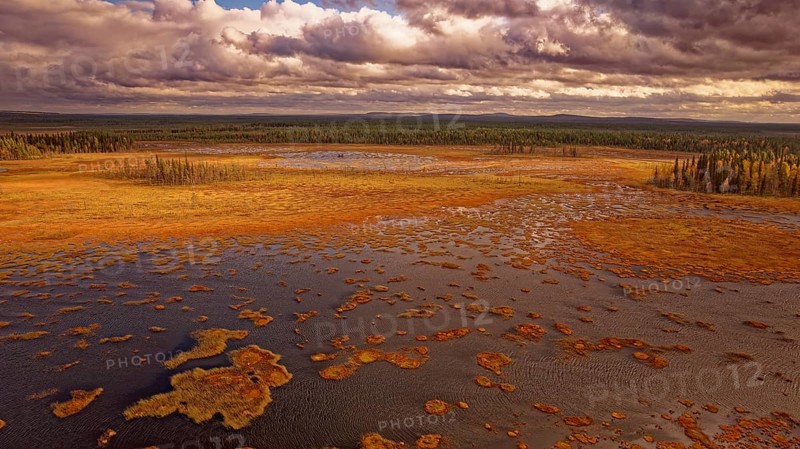 Moor, autumn, intense colouring, impressive cloud formation, drone shot, with horizon, Lapland, Northern Finland, Finland, Europe