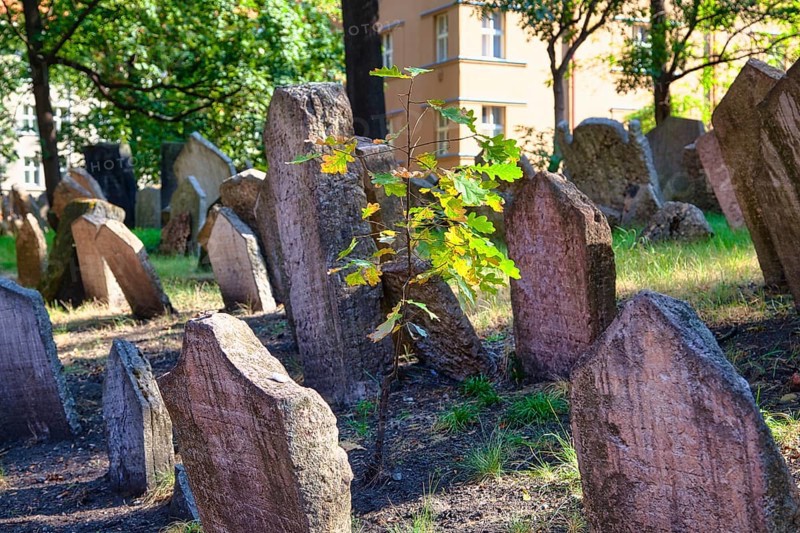 Old Jewish Cemetery, Prague, Czech Republic, Europe