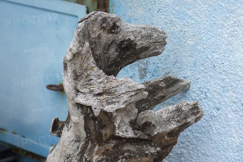Similar to a dog figure moulded by nature from a tree root, Burano, Veneto, Italy, Europe
