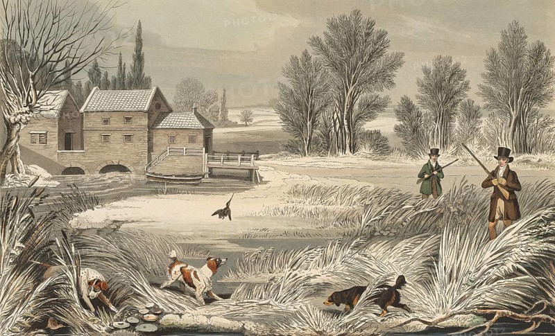 Snipe hunt, 1822, England, Historical, digitally restored reproduction from a 19th century original, Record date not stated