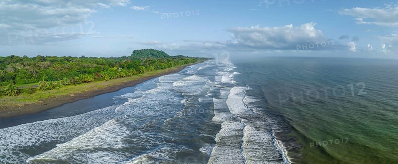 Aerial view, beach and sea, coast with rainforest, Tortuguero National Park, Costa Rica, Central America