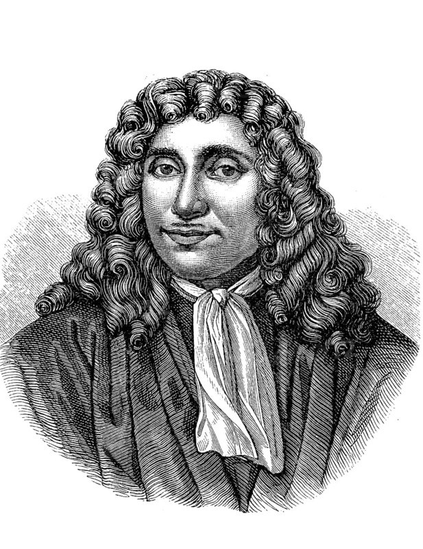 Antoni van Leeuwenhoek, 24 October 1632, 26 August 1723, Dutch naturalist and the most important microscopist of the 17th and early 18th century, Historical, digital reproduction of an original from the 19th century