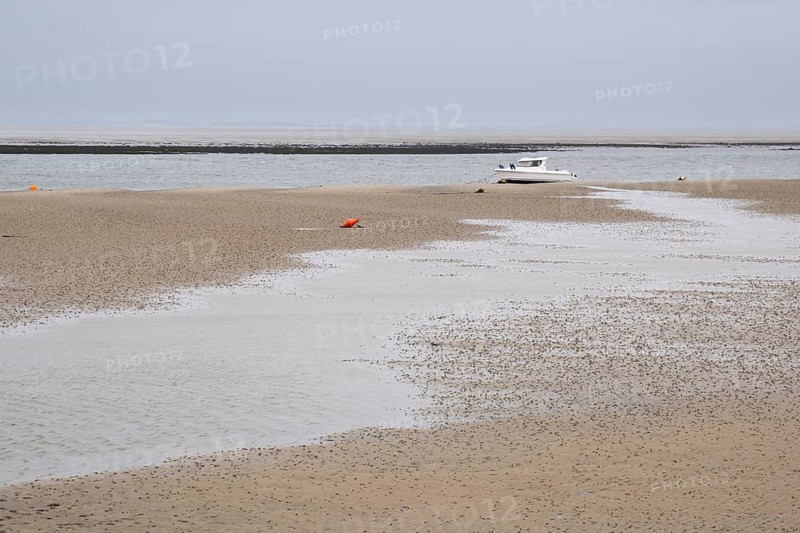 Wadden Sea at low tide with numerous piles of lugworms, two buoys, boat on dry mudflats, Utersum, Föhr, North Sea island, North Frisia, Schleswig-Holstein, Germany, Europe