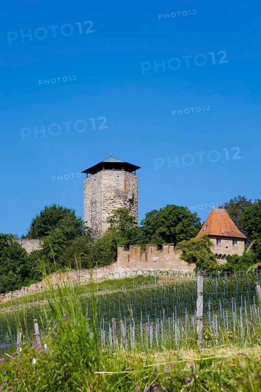 Hohenbeilstein Castle, hilltop castle, Beilstein, Heilbronn district, Baden-Württemberg, Germany, Europe