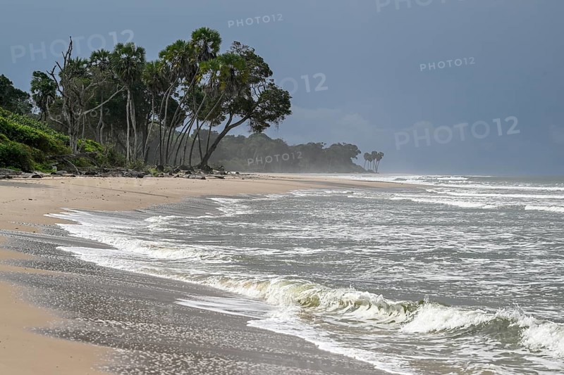 Beach, Petit Loango, Loango National Park, Parc National de Loango, Ogooué-Maritime Province, Gabon, Africa