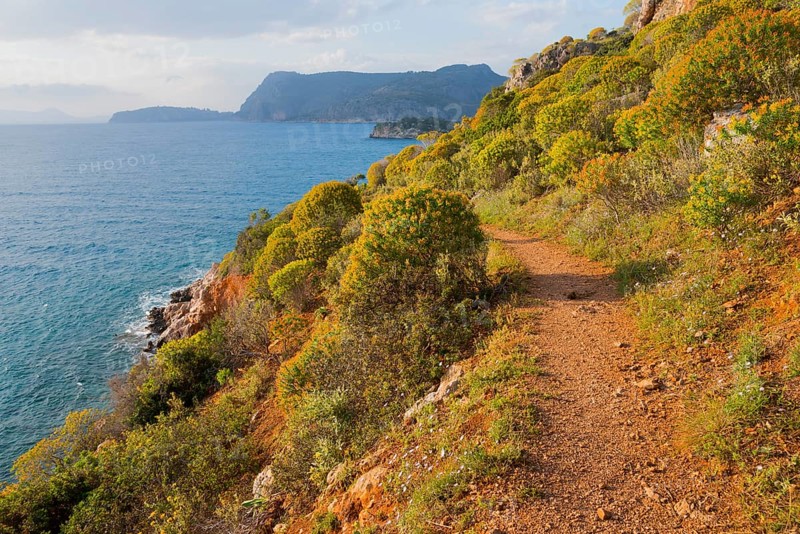 Nature trail along a rocky coast with lush vegetation and views of the open sea, Agia Kyriaki, Nafplio, Nauplia, Nauplion, Nafplion, Argolis, Argolic Gulf, Peloponnese, Greece, Europe