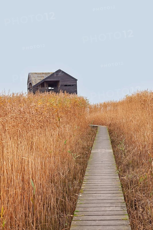 Low tide, reeds, mudflats, observation point Kiekkaaste, Dollart, Nieuwe Statenzijl, Netherlands
