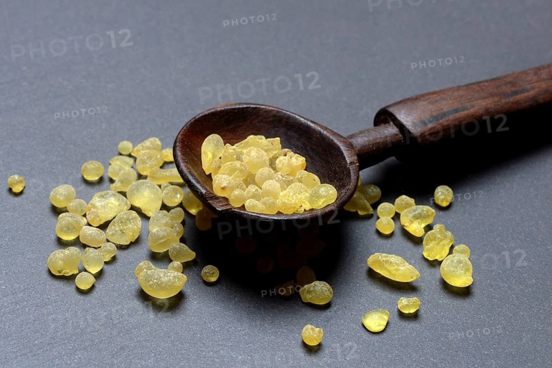 Mastic, resin from the mastic pistachio tree, Pistacia lentiscus, mastic resin in a wooden spoon