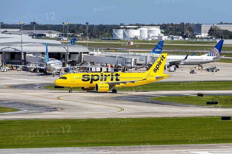 An Airbus A320neo aircraft of Spirit Airlines with the registration number N978NK at Tampa Airport, USA, North America