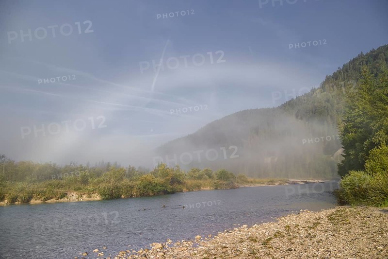 Isar valley nature conservancy area. The wild Isar river flows through its gravel bed past driftwood and entrained trees and bushes . Sunrise with fog showing an arc of mist, a rare weather phenomenon