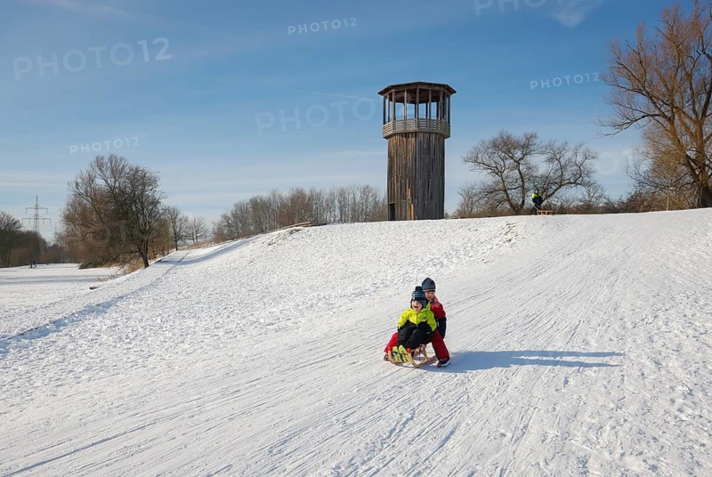 Recklinghausen, North Rhine-Westphalia, Germany - Sunny winter landscape in the Ruhr area, Emscher art in the snow, Kawamata Tower on the Emscher, WALKWAY AND TOWER, 2010, by Tadashi Kawamata, Children sledging