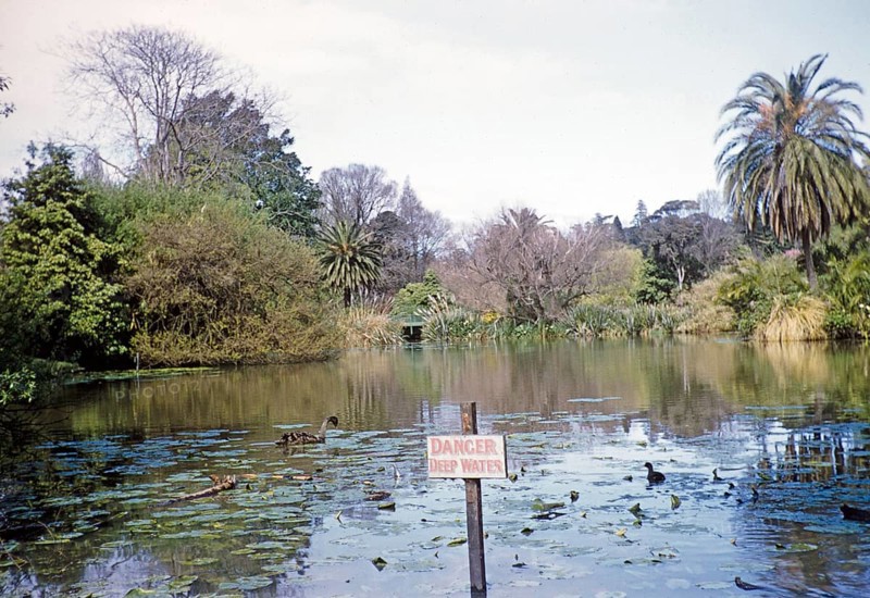Sign Danger in deep water at the lake in the Royal Botanic Gardens Victoria, Melbourne, Victoria, Australia, 1956, Oceania