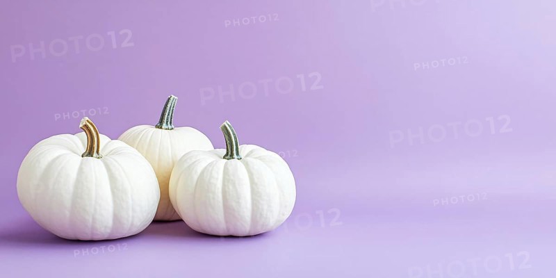 Banner with three large white pumpkins on pastel violet background with copy space. Generative Ai, AI generated