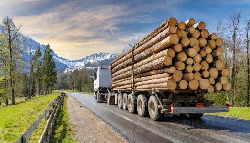 Forestry, timber industry, lorry, long timber transporter loaded with logs, on the road, AI generated, AI generated