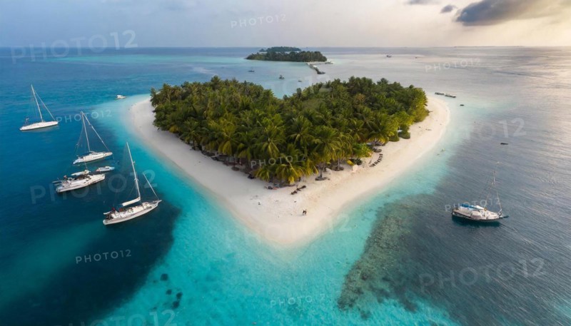 Symbol, small heart-shaped island in the sea, love island, honeymoon, palm beach, aerial view, AI-generated, AI generated