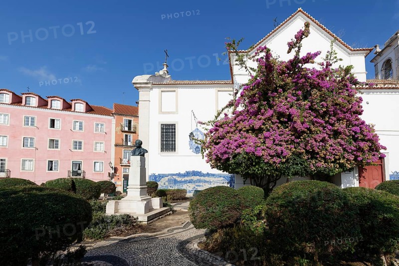 Santa Luzia Garden or Julio de Castilho Garden with azulejos painted tiles, Lisbon, Portugal, Europe