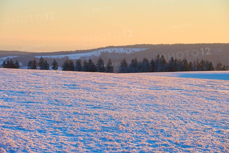 Snow-covered landscape with trees on the horizon in the light of sunrise, winter, Wasserkuppe, Gersfeld, Rhön, Hesse, Germany, Europe